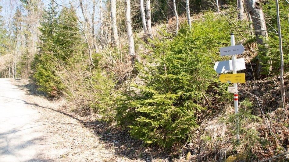 Hiking route Akogelrunde von Palfau - Touren-Impression #2.5 | © TV Gesäuse