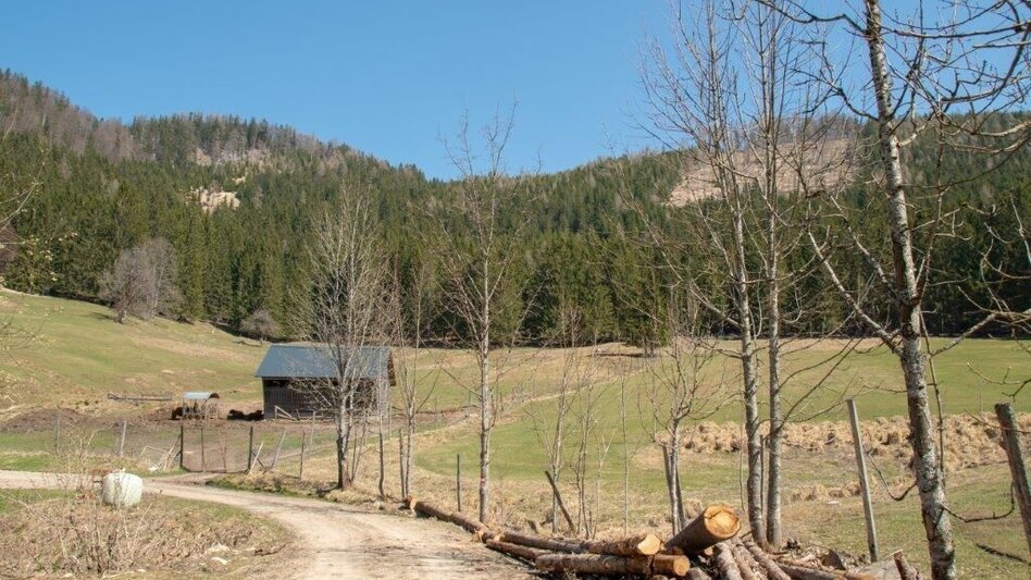 Hiking route Akogelrunde von Palfau - Touren-Impression #2.6 | © TV Gesäuse