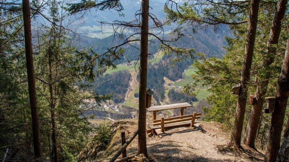 Hiking route Akogelrunde von Palfau - Touren-Impression #2.7 | © TV Gesäuse