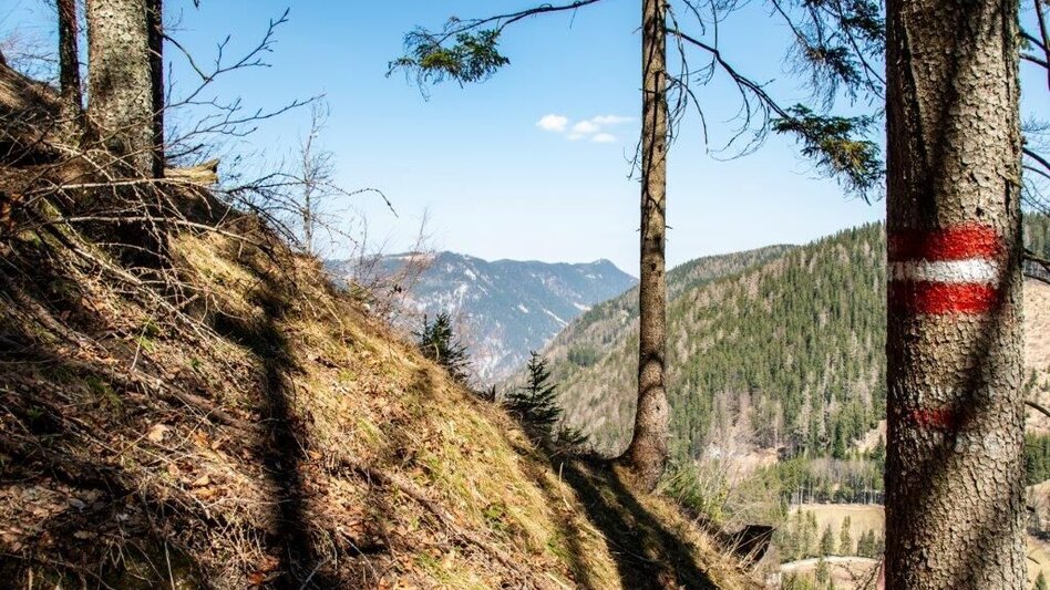 Hiking route Akogelrunde von Palfau - Touren-Impression #2.10 | © TV Gesäuse