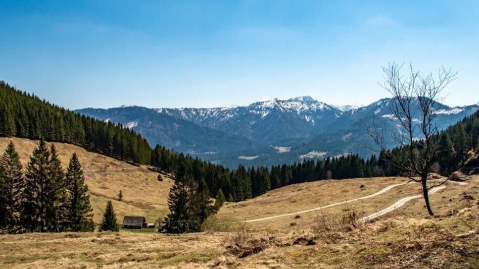 Hiking route Akogelrunde von Palfau - Touren-Impression #2.9 | © TV Gesäuse
