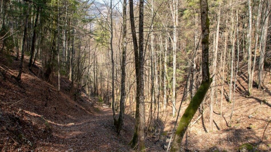 Hiking route Akogelrunde von Palfau - Touren-Impression #2.12 | © TV Gesäuse