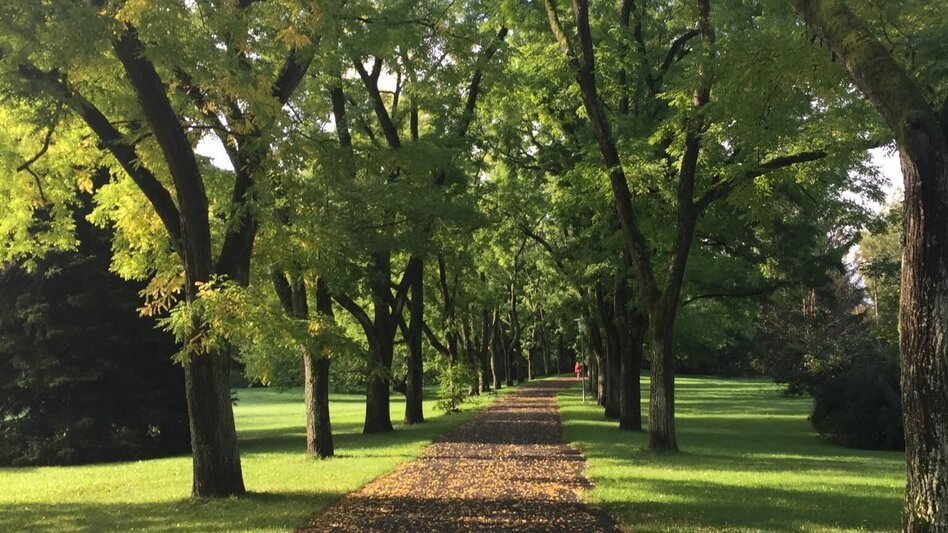 Wanderung Herzspur Bad Gleichenberg - Der Liebe auf der Spur - Touren-Impression #2.19 | © Community