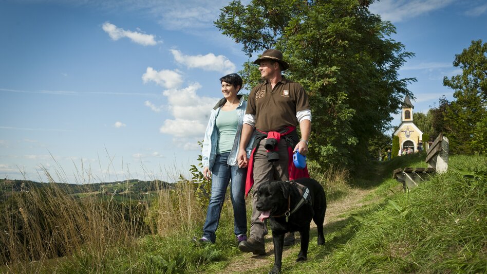 Wanderung Herzspur Bad Gleichenberg - Der Liebe auf der Spur - Touren-Impression #2.22 | © Thermen- & Vulkanland