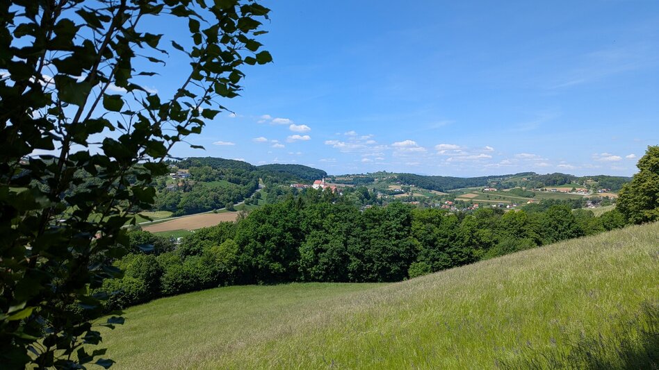 Wanderung Herzspur Bad Gleichenberg - Der Liebe auf der Spur - Touren-Impression #2.9 | © Thermen- & Vulkanland