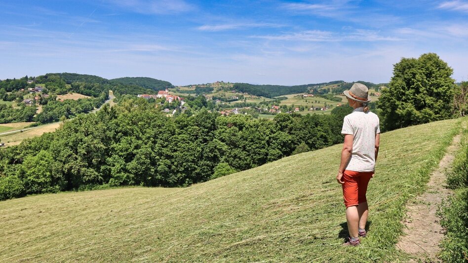 Wanderung Herzspur Bad Gleichenberg - Der Liebe auf der Spur - Touren-Impression #2.8 | © Thermen- & Vulkanland