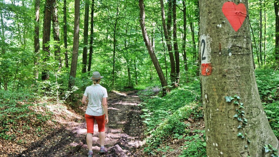 Wanderung Herzspur Bad Gleichenberg - Der Liebe auf der Spur - Touren-Impression #2.13 | © Thermen- & Vulkanland
