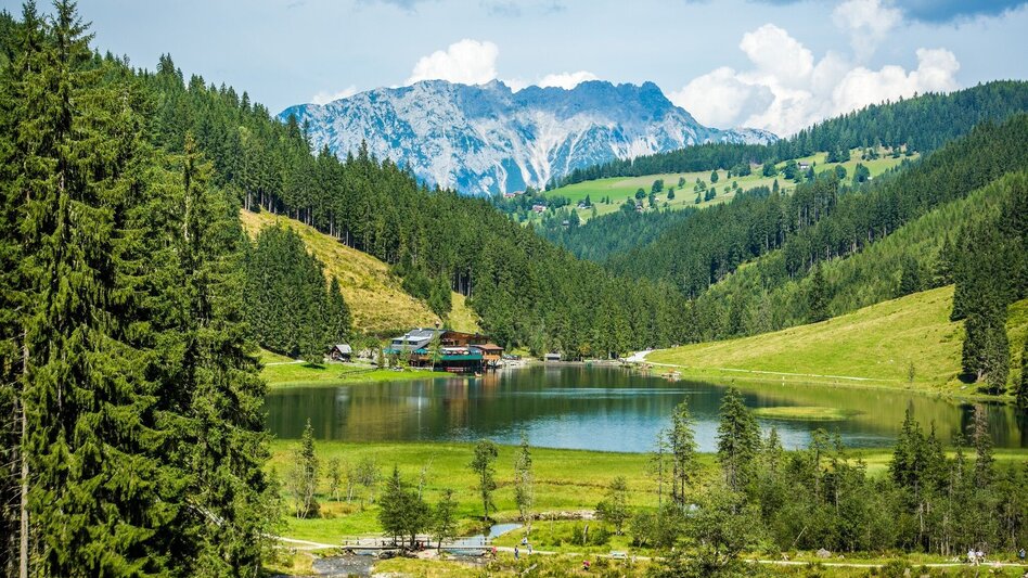 Wanderung "Tal der stürzenden Wasser" -  3-Seen-Tour: Steirischer Bodensee - Hüttensee - Obersee - Touren-Impression #2.1