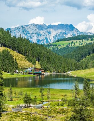 Unterwegs in der Urlaubsregion Schladming Dachstein... | René Eduard Perhab