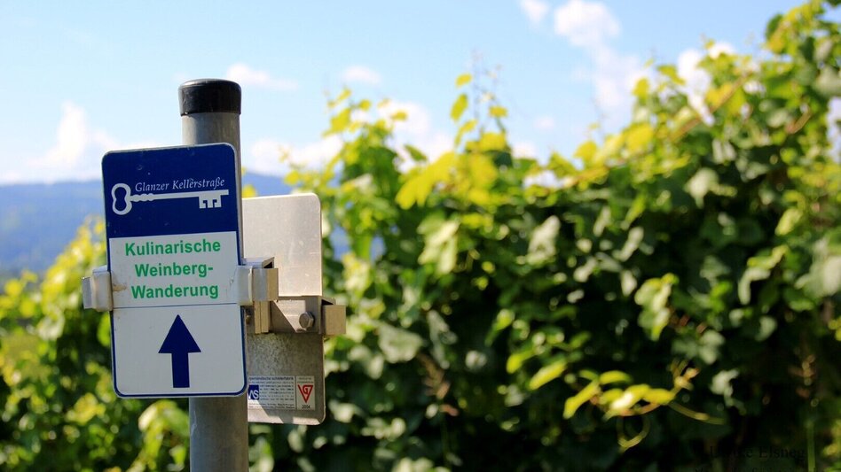 Wanderung Kulinarische Weinbergwanderung  - Touren-Impression #2.2 | © TV Südsteiermark