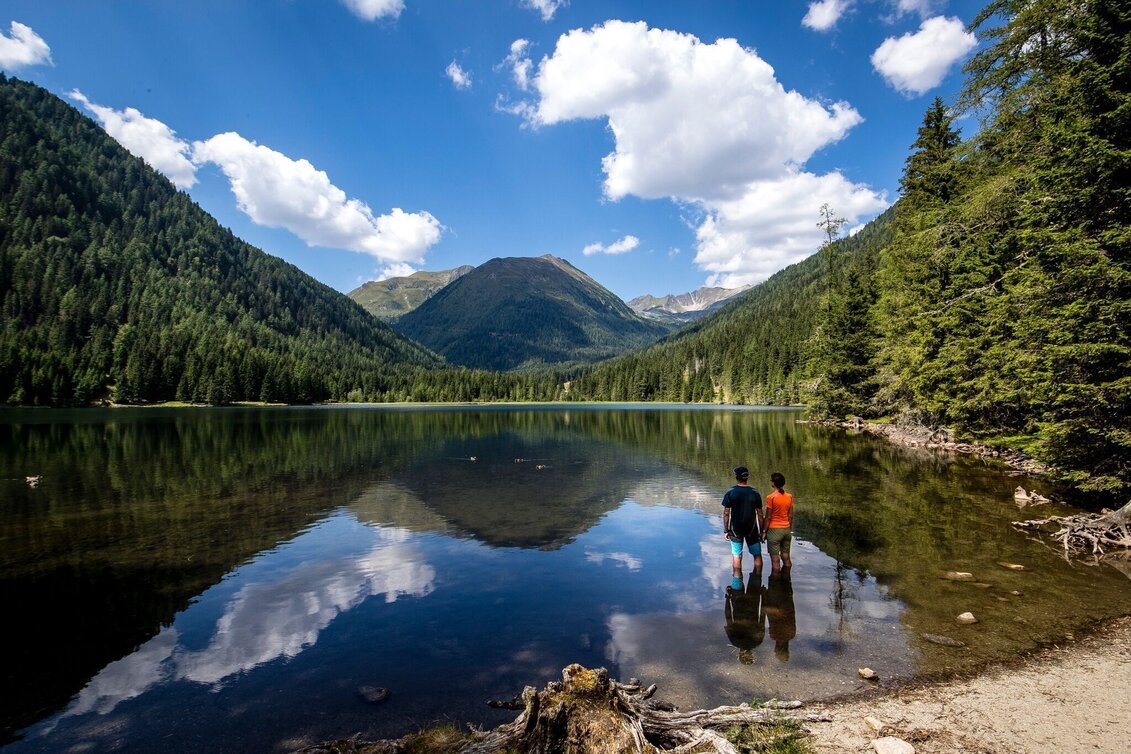 Hiking route Brennerfeldeck - Touren-Impression #1 | © Tourismusverband Murau
