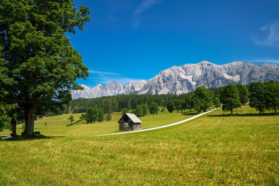 Hiking route Vorberg Loop Trail - Touren-Impression #1 | © Christine Höflehner
