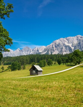 Christine Höflehner | © Christine Höflehner