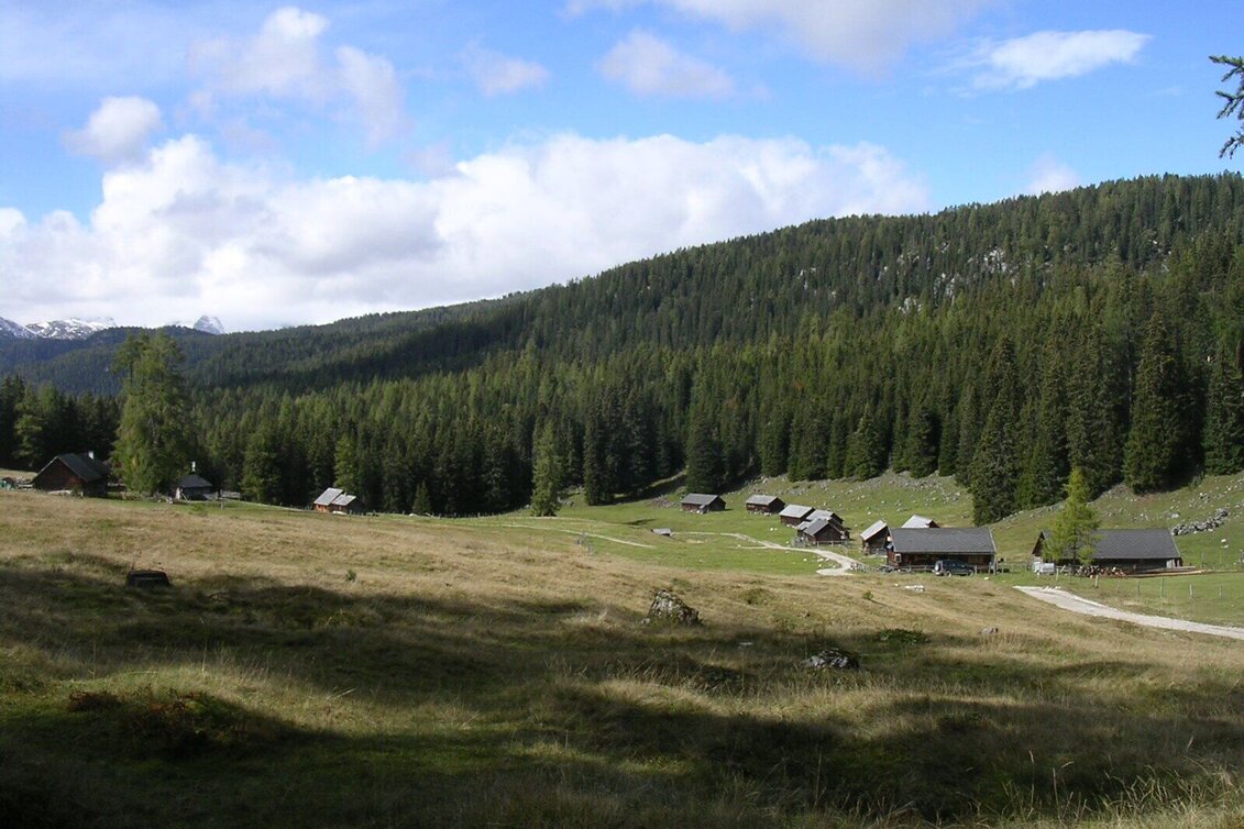 Wanderung Vom Stoderzinken zur Viehbergalm - eine Wald- und Almwanderung  - Touren-Impression #1 | © Erlebnisregion Schladming-Dachstein