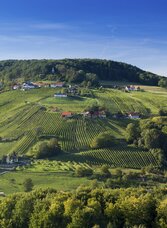 Blick von St. Anna auf die Riede Scheming | © Steiermark Tourismus | Harry Schiffer | © Steiermark Tourismus