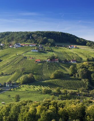 Blick von St. Anna auf die Riede Scheming | Harry Schiffer | © Steiermark Tourismus