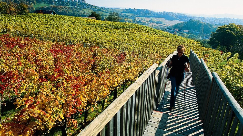 Pilgerweg Mariazeller Weg Anbindung von Slowenien über Bad Radkersburg - Touren-Impression #2.4 | © Reinhard Lamm