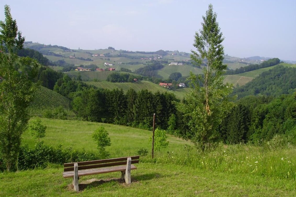 Hiking route Glanzer Hoftour hiking trail - Touren-Impression #1 | © Erlebnisregion Südsteiermark