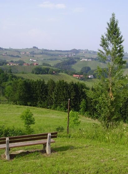 glanzer hoftour_img_1933591 | © Erlebnisregion Südsteiermark | Erlebnisregion Südsteiermark | © Erlebnisregion Südsteiermark