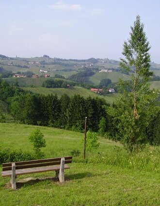 glanzer hoftour_img_1933591 | Erlebnisregion Südsteiermark | © Erlebnisregion Südsteiermark