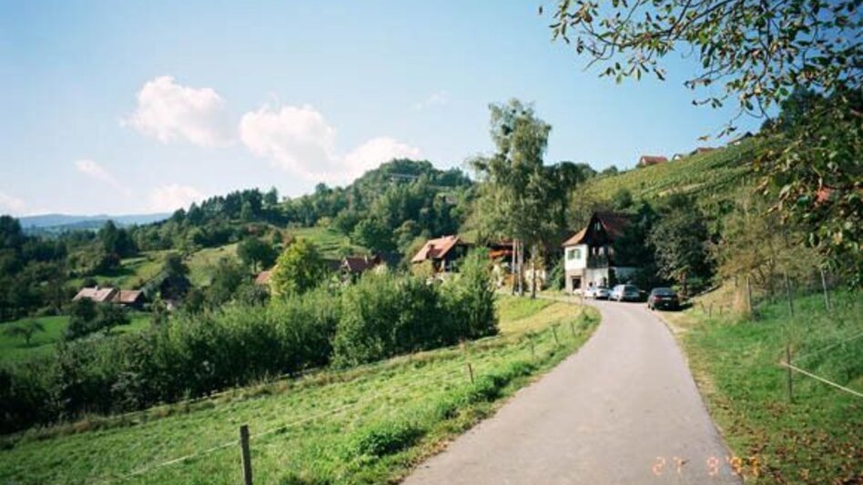 Wanderung Schilcherrundweg Variante 1 (lang) - über Vochera/Engelweingarten - Touren-Impression #2.1 | © TVB Südsteiermark/Winfried Bräunlich