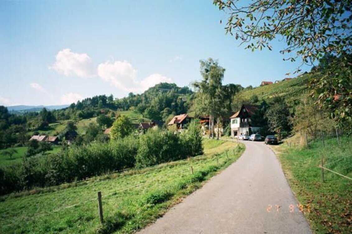 Wanderung Schilcherrundweg Variante 1 (lang) - über Vochera/Engelweingarten - Touren-Impression #1 | © TVB Südsteiermark/Winfried Bräunlich
