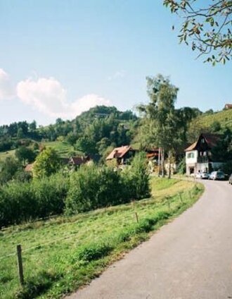 Schilcherrundweg Ried Engelweingarten | Winfried Bräunlich | © TVB Südsteiermark/Winfried Bräunlich