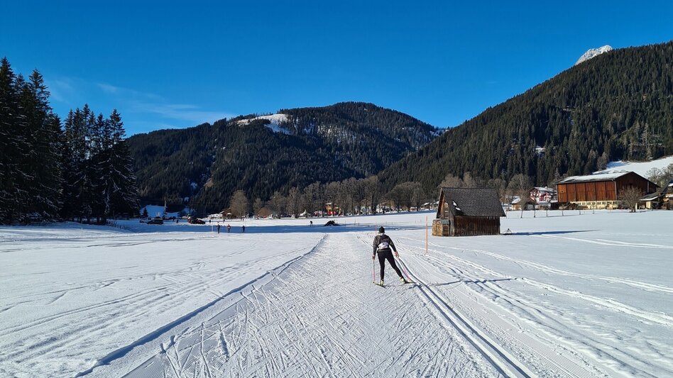 Ski nordic skating Standard Trail West - Touren-Impression #2.2 | © Erlebnisregion Schladming-Dachstein