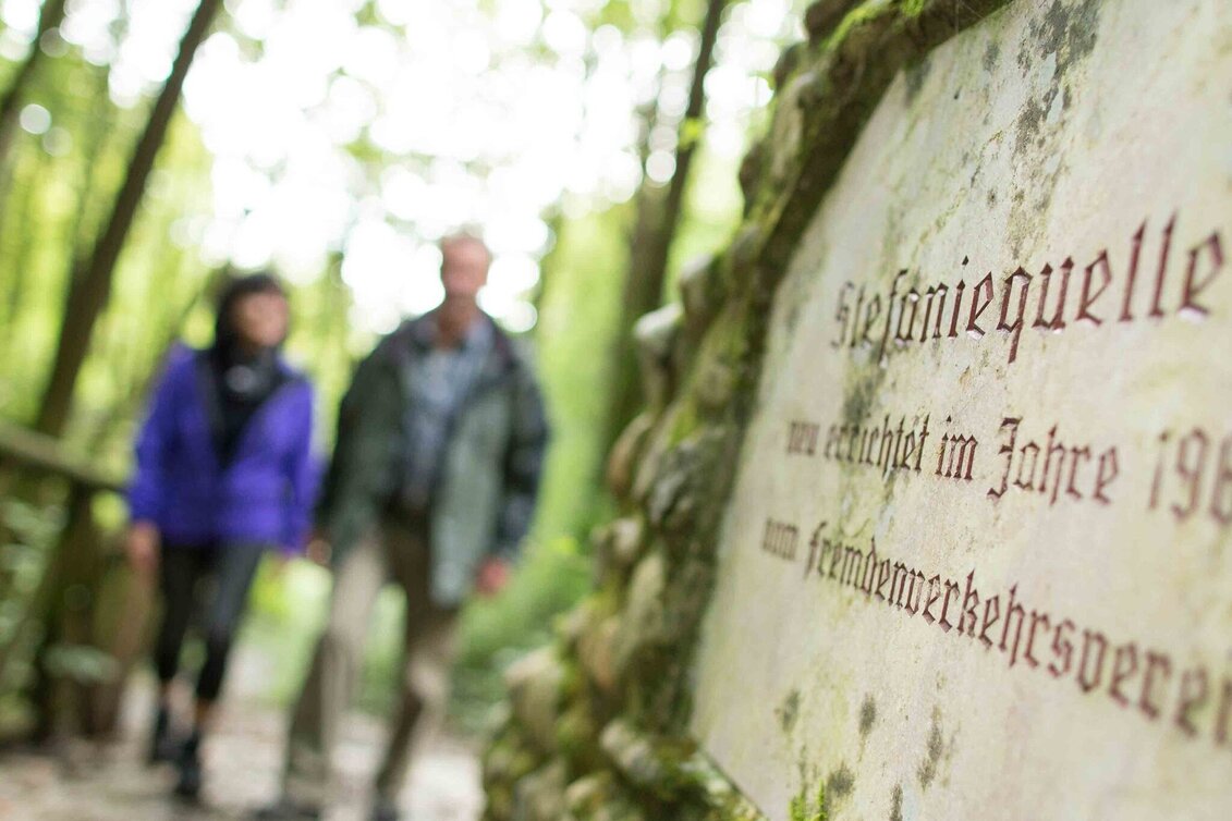 Hiking route Burgthannerweg - Touren-Impression #1 | © Oststeiermark Tourismus