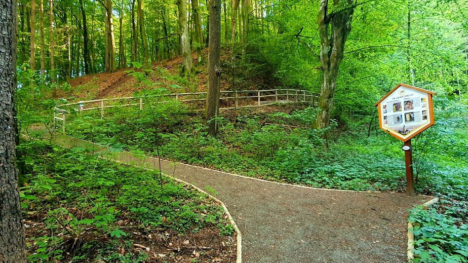 Hiking route Burgthannerweg - Touren-Impression #2.8 | © (c) Günther Steininger