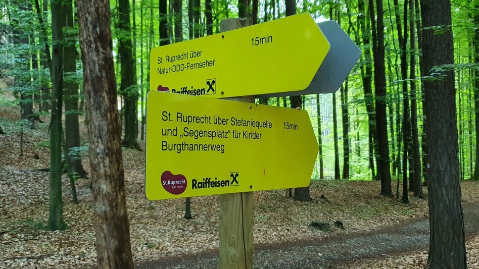 Hiking route Burgthannerweg - Touren-Impression #2.9 | © (c) Günther Steininger