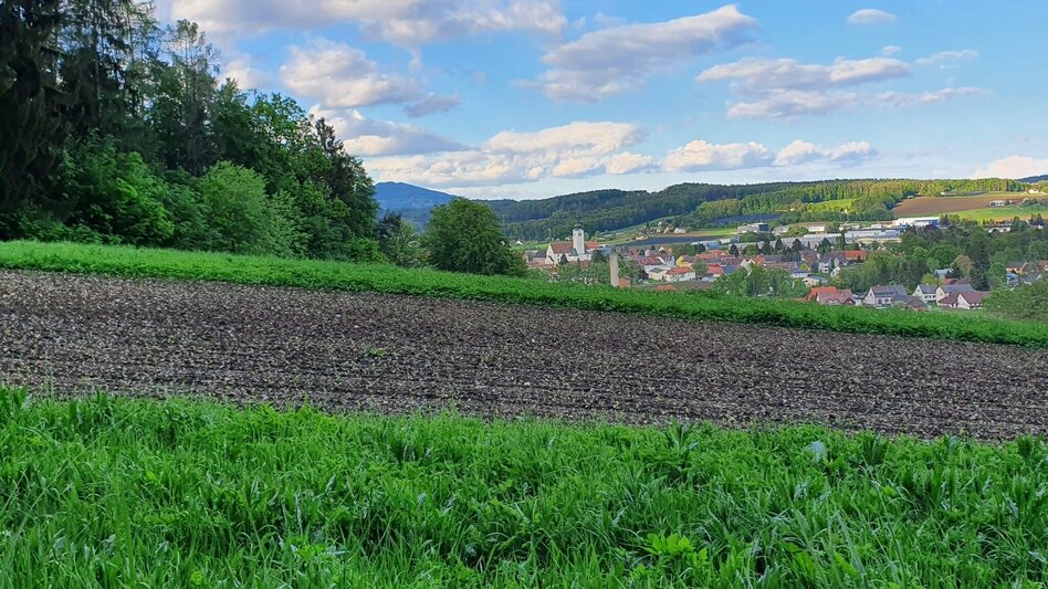 Hiking route Burgthannerweg - Touren-Impression #2.10 | © (c) Günther Steininger