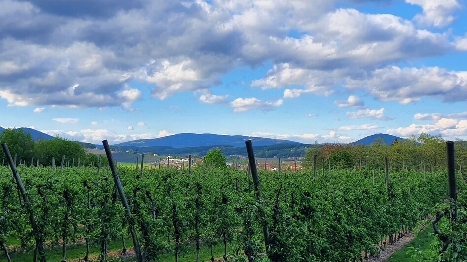 Hiking route Burgthannerweg - Touren-Impression #2.11 | © (c) Günther Steininger