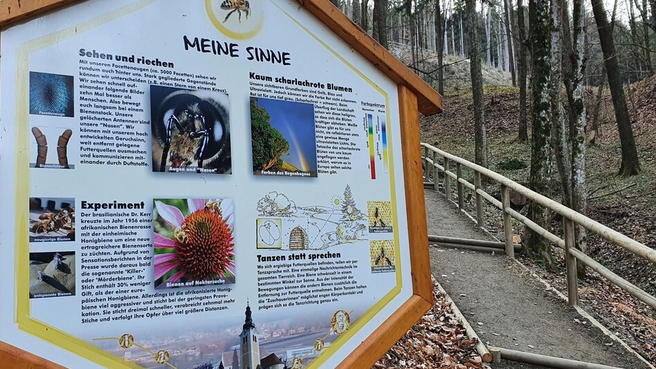 Hiking route Burgthannerweg - Touren-Impression #2.7 | © Oststeiermark Tourismus