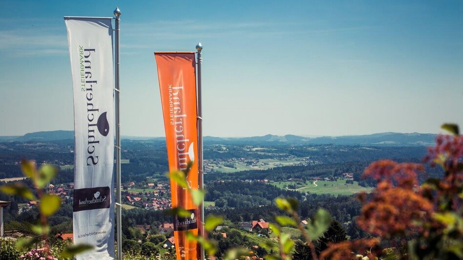 Radfahren Schilcher Tour Süd Nr. 701 - Touren-Impression #2.1 | © TVB Südsteiermark/Lupi Spuma