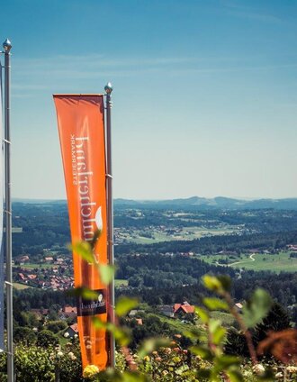 Schilcherland in der Erlebnisregion Südsteiermark | Lupi Spuma | © TVB Südsteiermark/Lupi Spuma