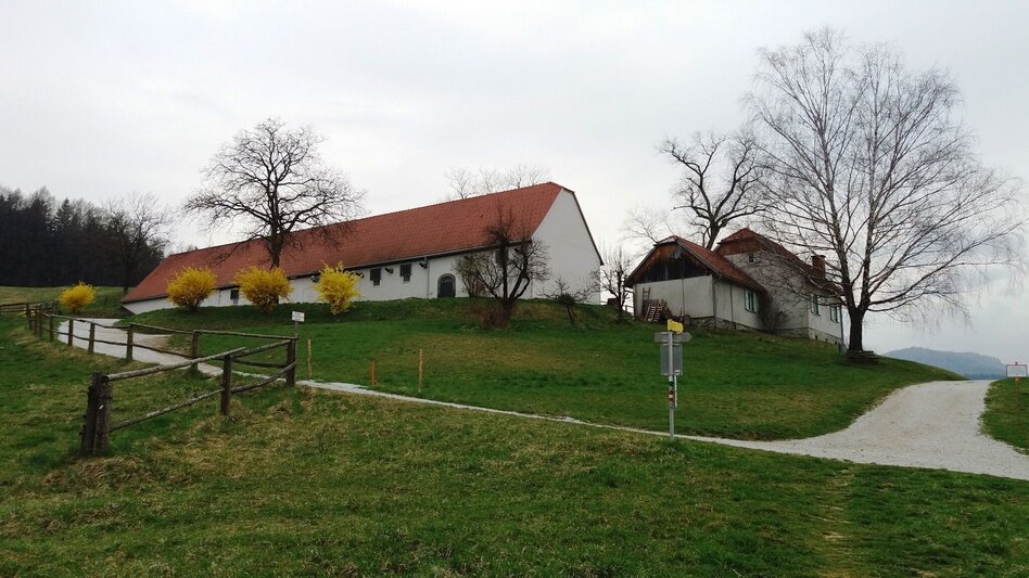Wanderung Wanderung rund um das Lipizzanergestüt Piber (8) - Touren-Impression #2.3 | © Region Graz