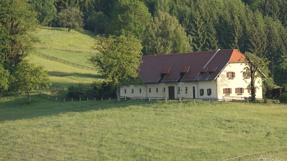 Wanderung Wanderung rund um das Lipizzanergestüt Piber (8) - Touren-Impression #2.4 | © SRS-Bundesgestüt Piber