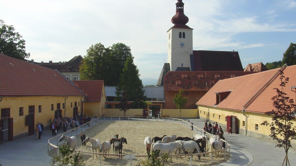 Wanderung Wanderung rund um das Lipizzanergestüt Piber (8) - Touren-Impression #2.10 | © SRS-Bundesgestüt Piber