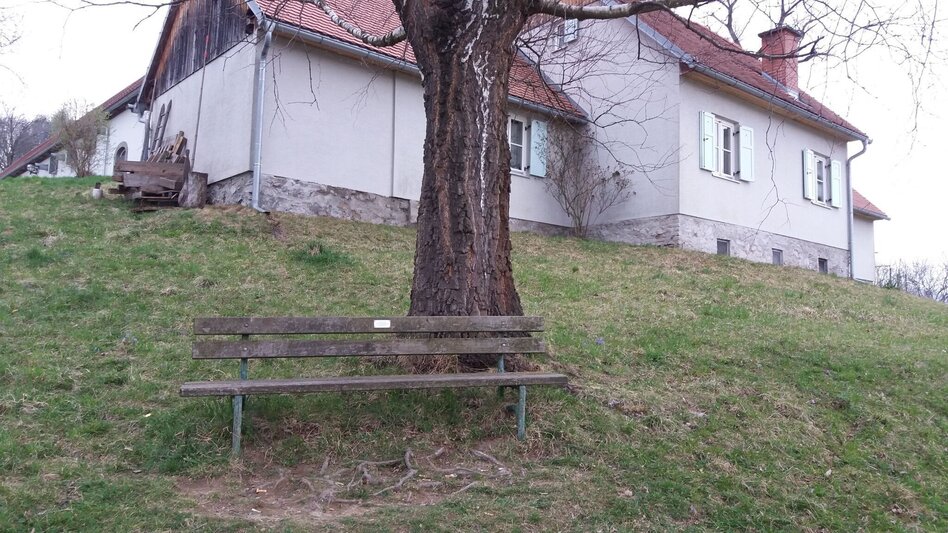 Wanderung Wanderung rund um das Lipizzanergestüt Piber (8) - Touren-Impression #2.12 | © Region Graz