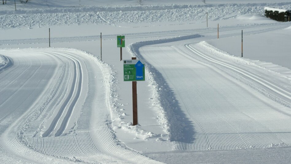 Langlauf klassisch Wald am Schoberpaß Loipe - Touren-Impression #2.2 | © TV Palten-Liesing Erlebnistäler©Katharina Wassler