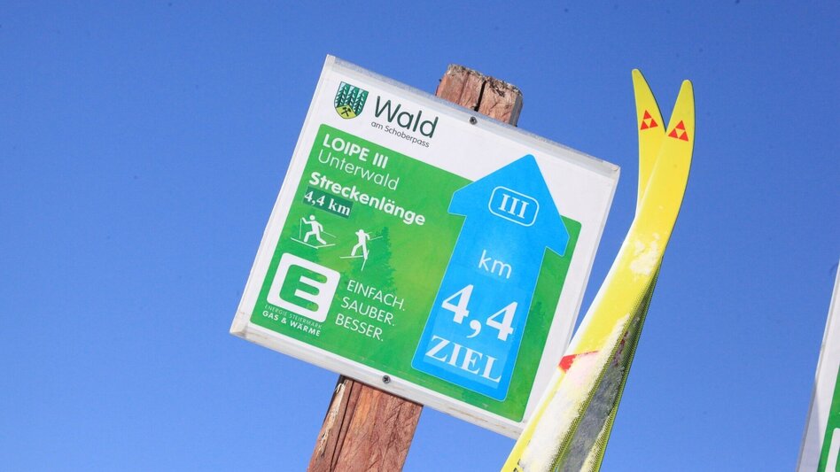 Langlauf klassisch Wald am Schoberpaß Loipe - Touren-Impression #2.3 | © TV Palten-Liesing Erlebnistäler©Katharina Wassler