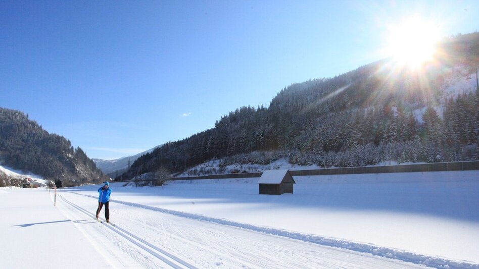 Langlauf klassisch Wald am Schoberpaß Loipe - Touren-Impression #2.5 | © Tourismusverband ERZBERG LEOBEN