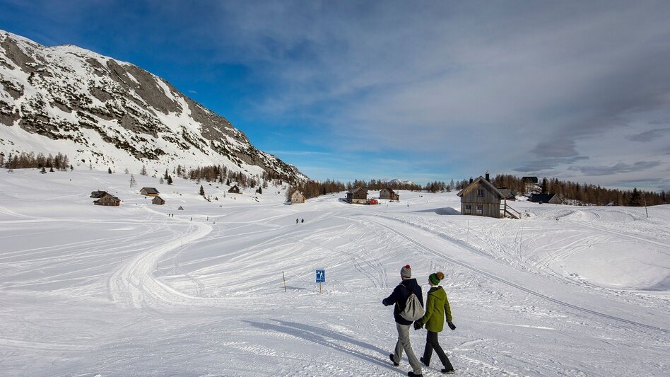 Winterwandern Winterwanderweg auf der Tauplitzalm - Touren-Impression #2.4 | © Ausseerland