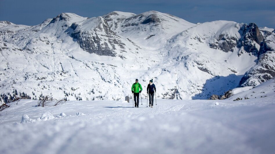 Winterwandern Winterwanderweg auf der Tauplitzalm - Touren-Impression #2.5 | © Tourismusverband Ausseerland Salzkammergut