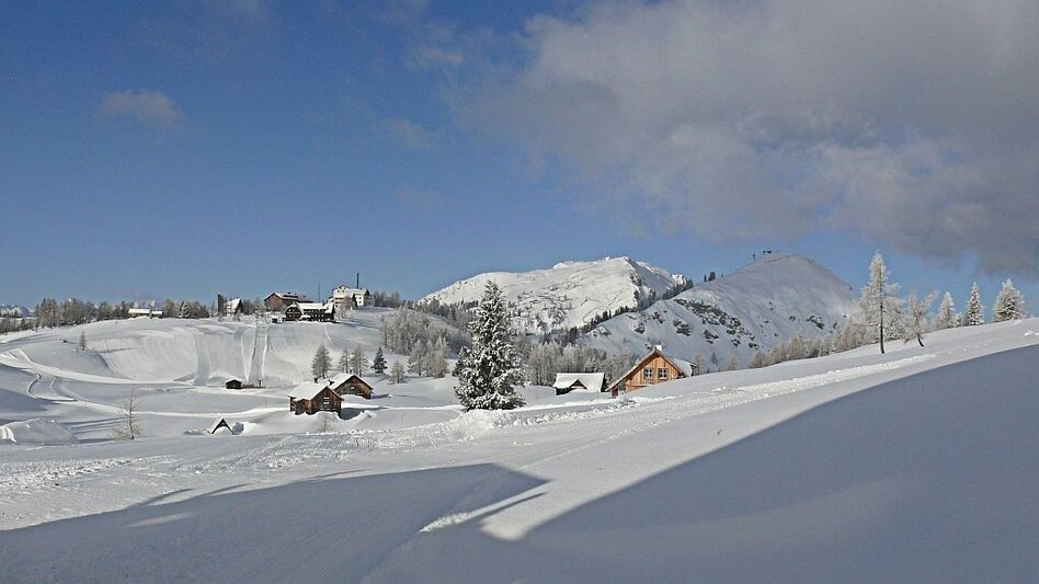 Winterwandern Winterwanderweg auf der Tauplitzalm - Touren-Impression #2.2 | © Tauplitzalm