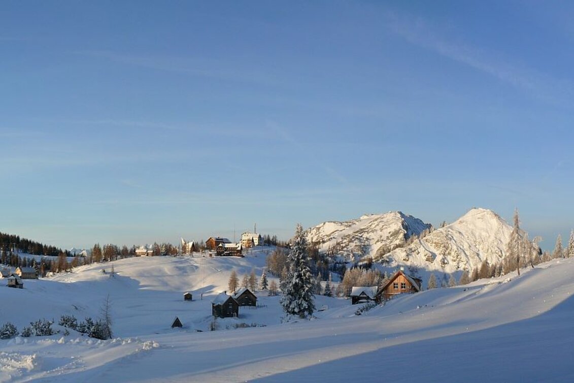 Winterwandern Winterwanderweg auf der Tauplitzalm - Touren-Impression #1 | © t