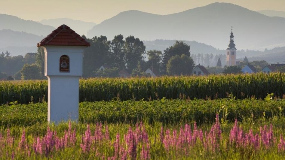 Bike Riding Käferbohnentour to Gleisdorf - Touren-Impression #2.1 | © Oststeiermark Tourismus