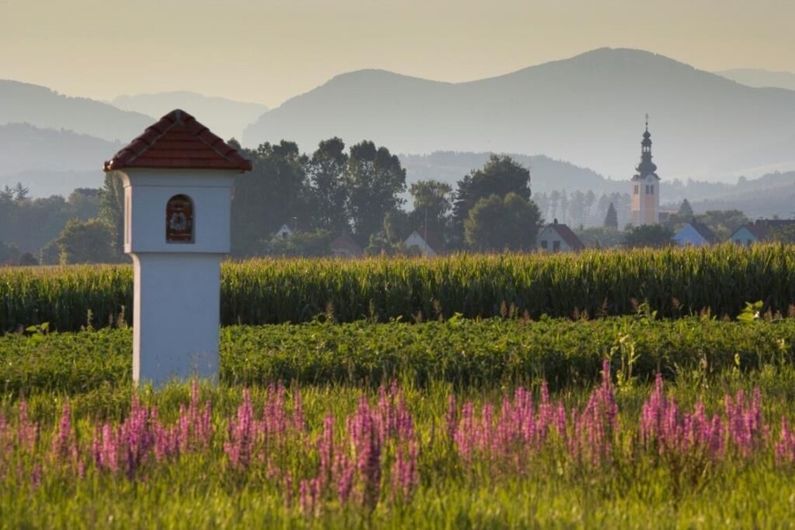Bike Riding Käferbohnentour to Gleisdorf - Touren-Impression #1 | © Oststeiermark Tourismus