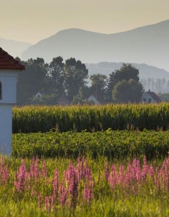 Blick auf St. Ruprecht an der Raab | Simon Sackl | © Oststeiermark Tourismus